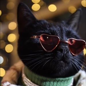 Meet your Posher, Christian